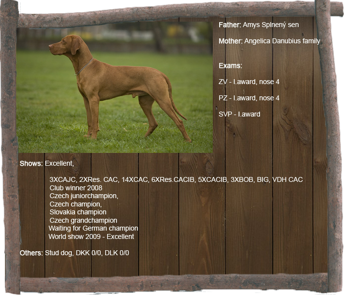 agis profil1 aj